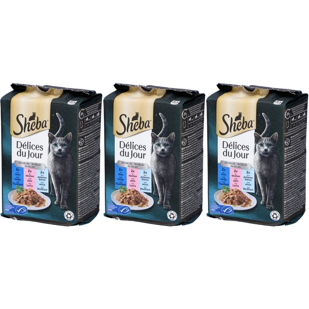 Drei Sheba Délices du Jour Katzenfutter-Beutel. Aufdruck mit Katze, Produktname und Angaben zu den Geschmacksrichtungen.