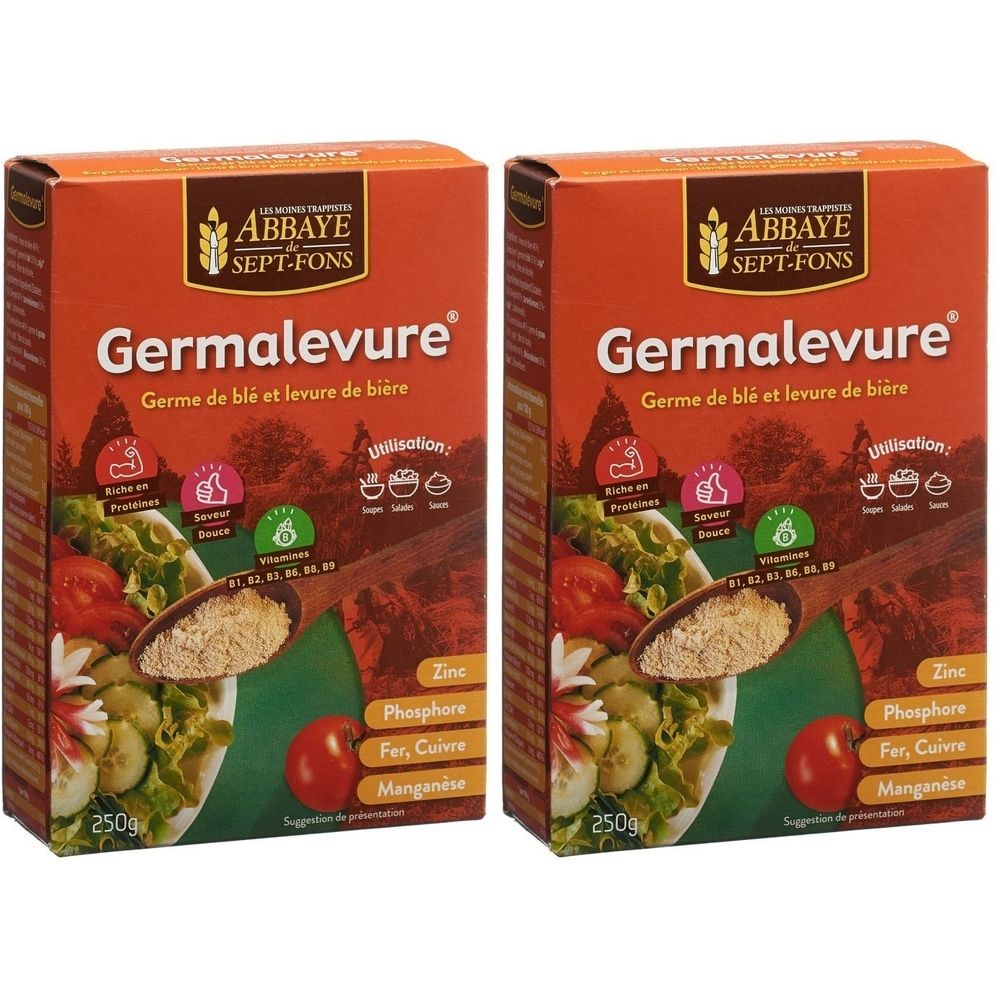 Zwei Kartons Germalevure. Aufschrift: ABBAYE SEPT-FONS, Germalevure, Germe de blé et levure de bière. 250g. Abbildung von Gemüse und Zutaten.