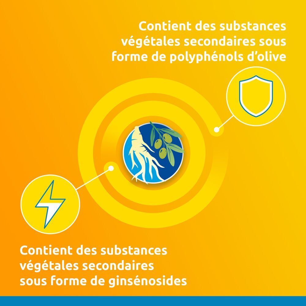 Graphique avec symboles et texte. Contient des ginsénosides et des polyphénols d'olive. Fond jaune avec éléments bleus et blancs.