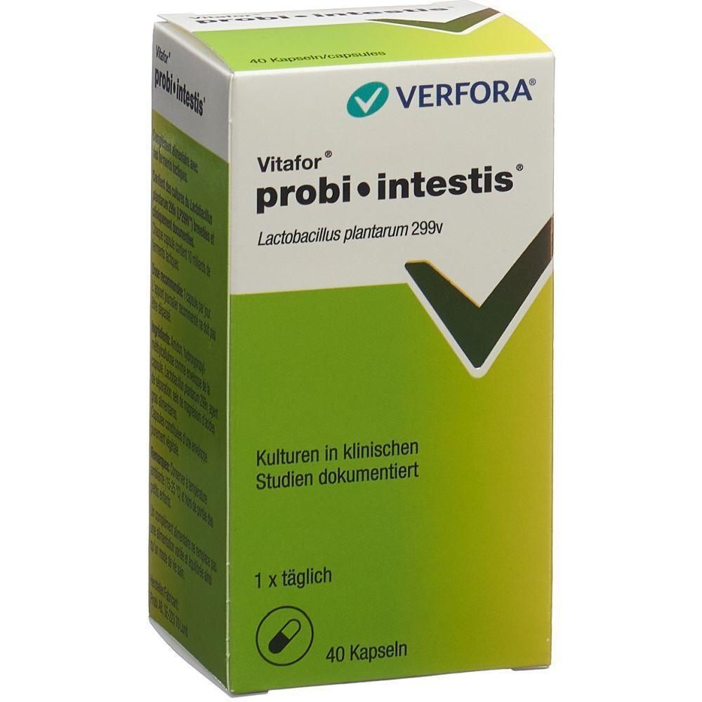 Karton mit Vitafor probi•intestis. Grün-weiß. Schriftzug: VERFORA, probi•intestis, 40 Kapseln. 1x täglich. Enthält Lactobacillus plantarum 299v.