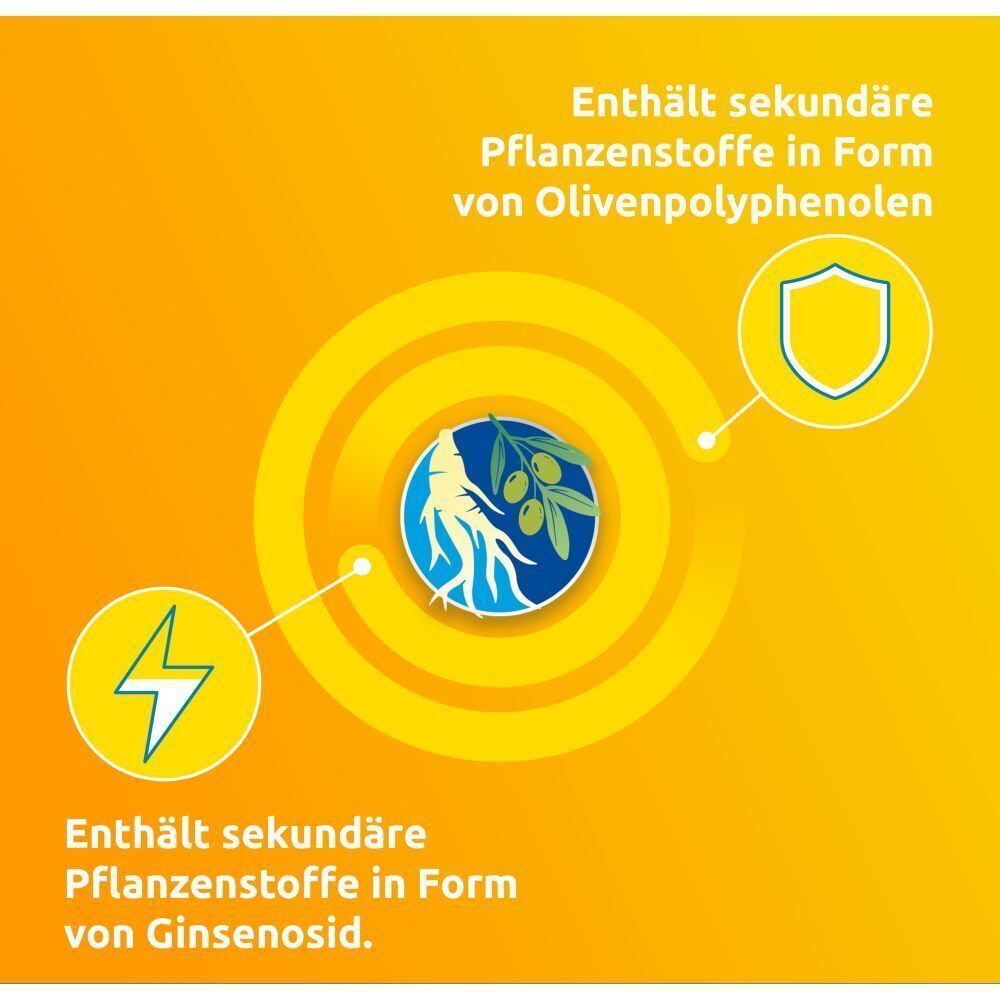 Infografik mit Inhaltsstoffen von Supradyn pro Vitality. Enthält sekundäre Pflanzenstoffe in Form von Olivenpolyphenolen und Ginsenosid.