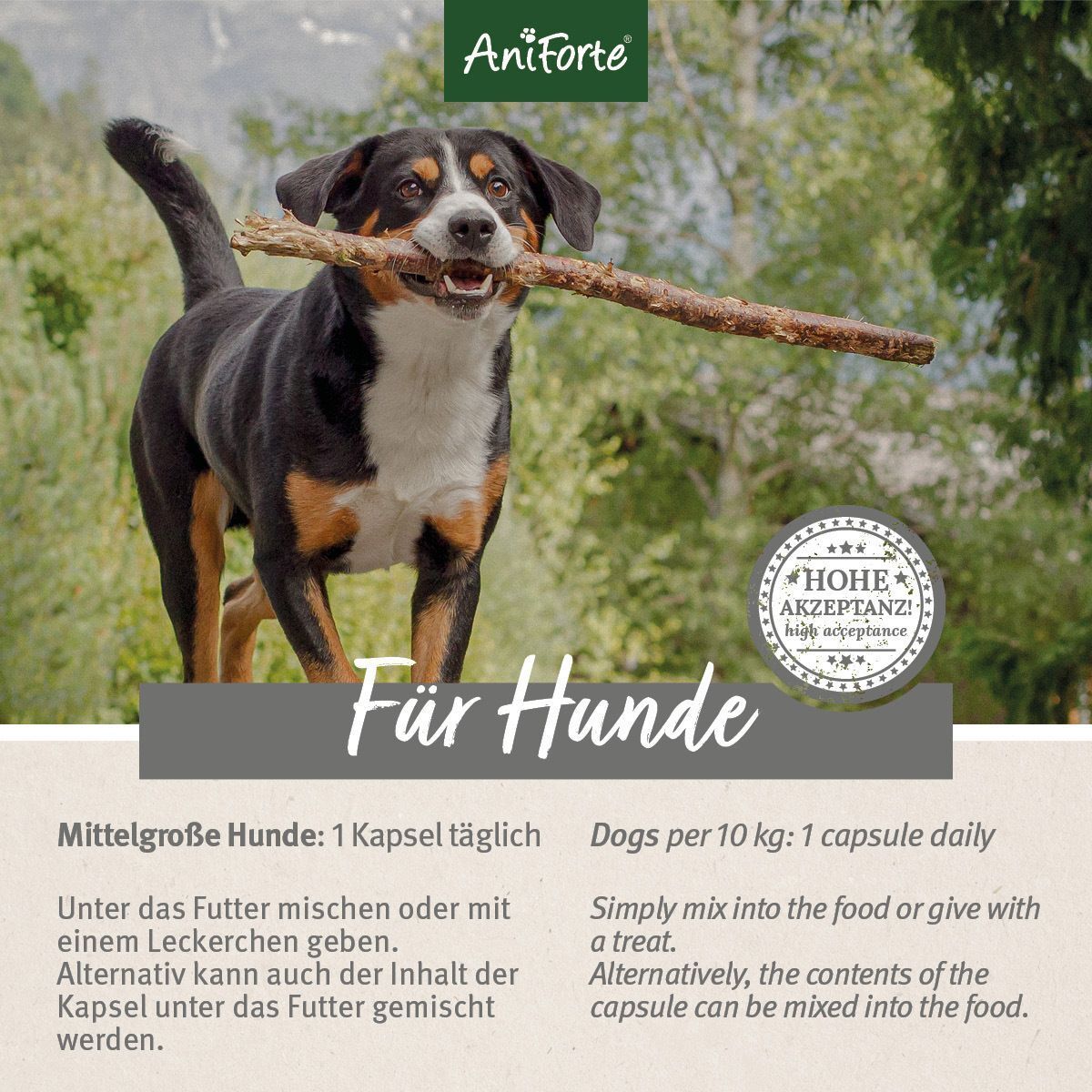Hund mit Stock. Text: Für Hunde. Mittelgroße Hunde: 1 Kapsel täglich. Unter Futter mischen.