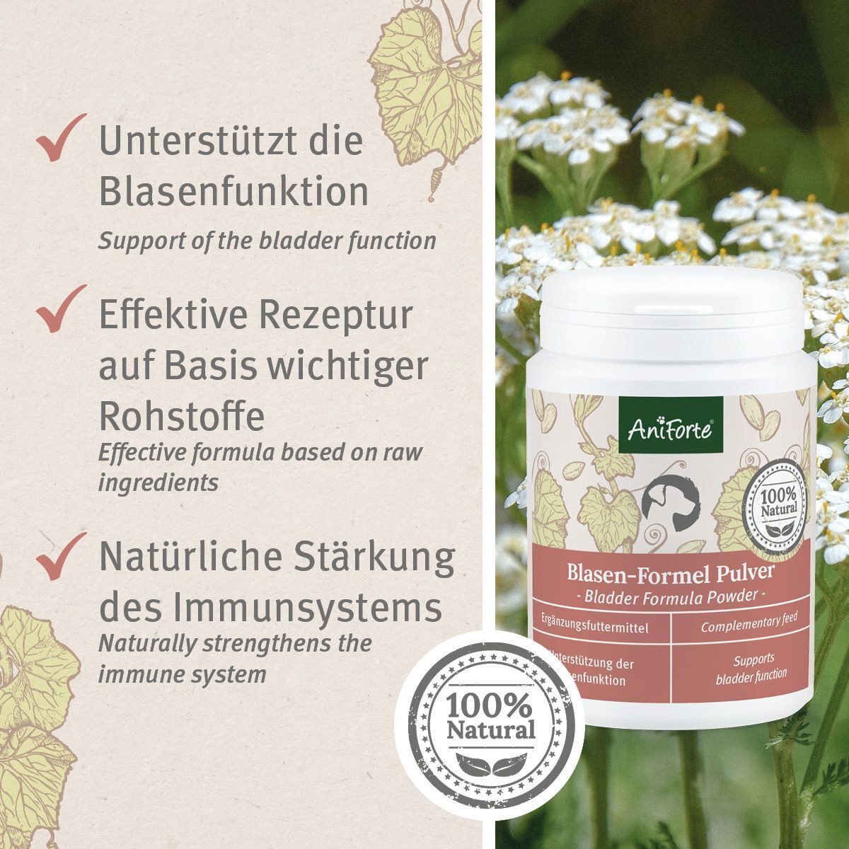 Étiquette du produit avec logo AniForte et Blasen-Formel Pulver. Sceau 100% Natural. Texte avec coches vertes.