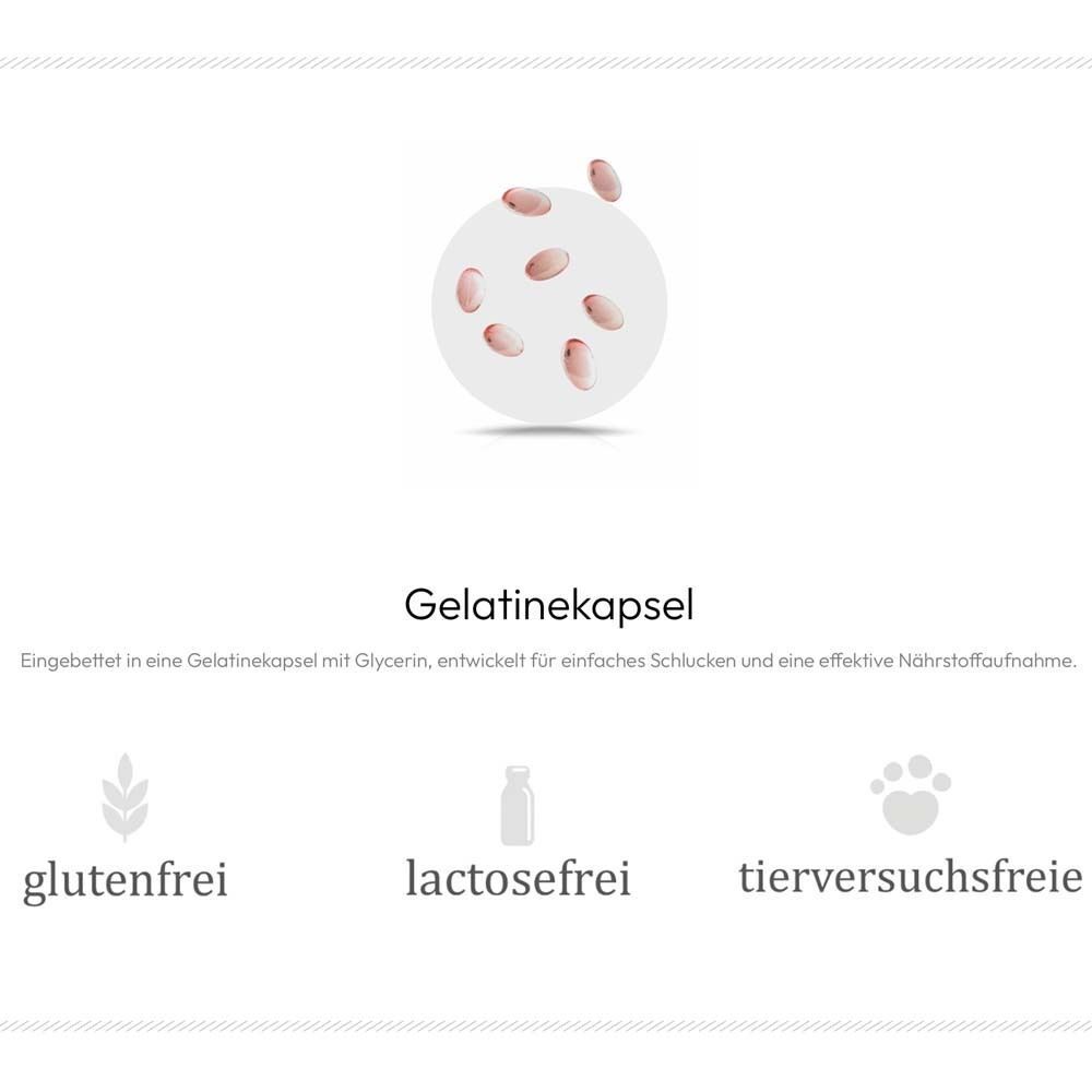 Grafik mit Kapsel. Text: Gelatinekapsel. Glutenfrei, lactosefrei, tierversuchsfrei.