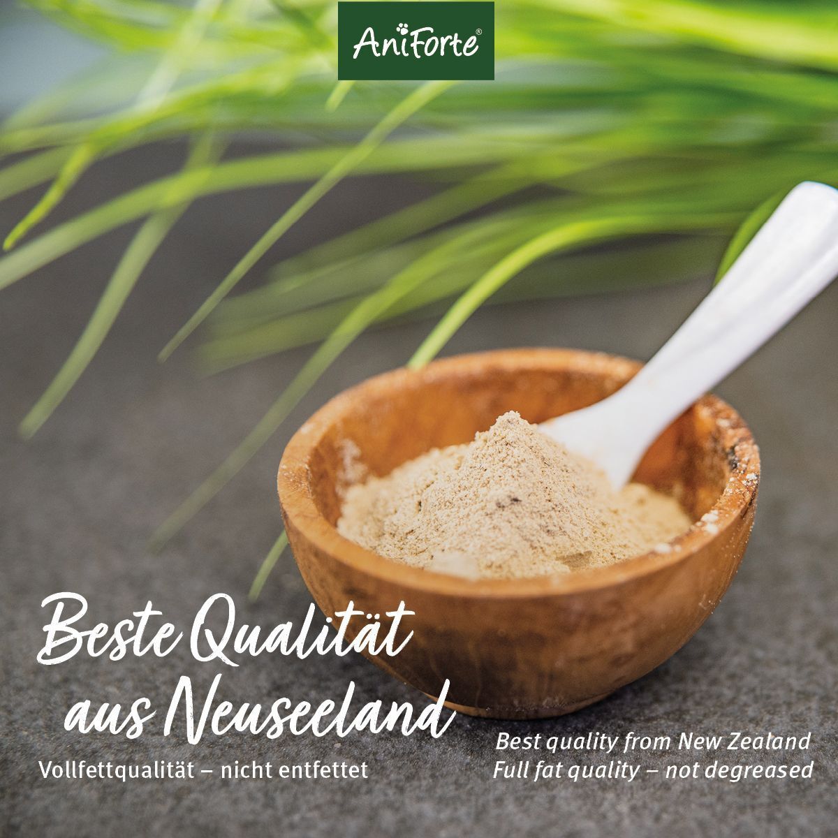 AniForte Poudre de moules aux orles verts