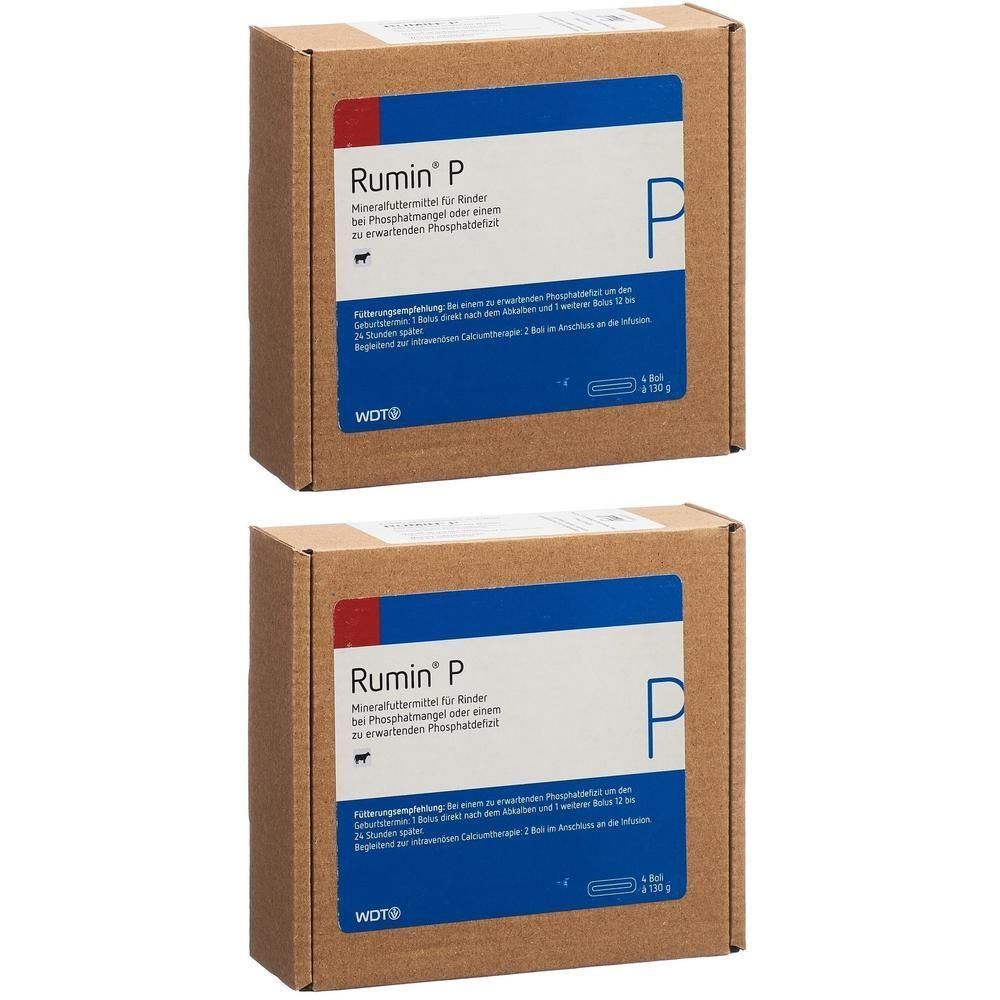 Zwei Kartons mit Produktaufdruck. Aufschrift: Rumin P. Blaue und weiße Beschriftung. Braune Verpackung.