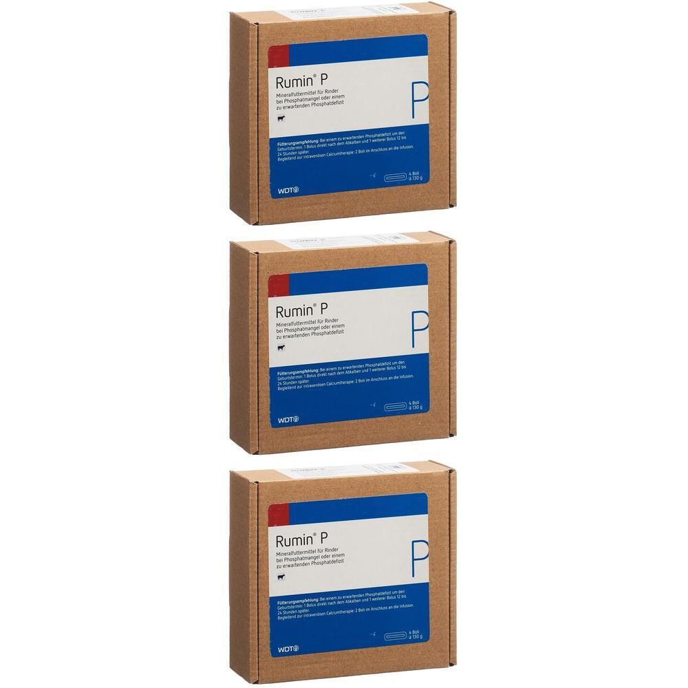 Drei Kartons mit Produktetikett. Aufschrift: Rumin' P. Blaue und weiße Etiketten mit Produktinformationen. Braune Kartonverpackung.
