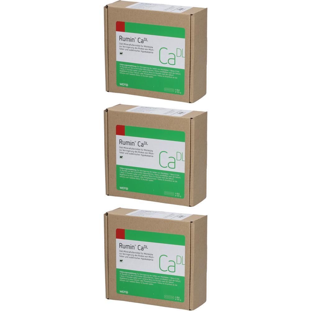 Drei Kartons mit grünen Etiketten. Aufschrift: Rumin' CaDL. Braune Kartons mit grünen Etiketten. Produktverpackung.