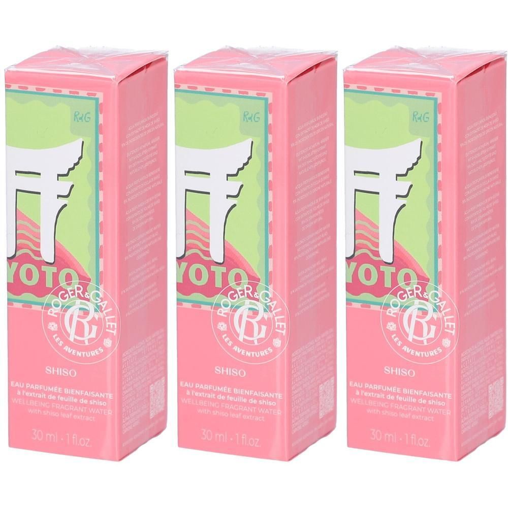 Trois boîtes roses. Chaque boîte affiche "YOTO", "SHISO" et "ROGER GALLET". L'emballage présente un motif vert et blanc.