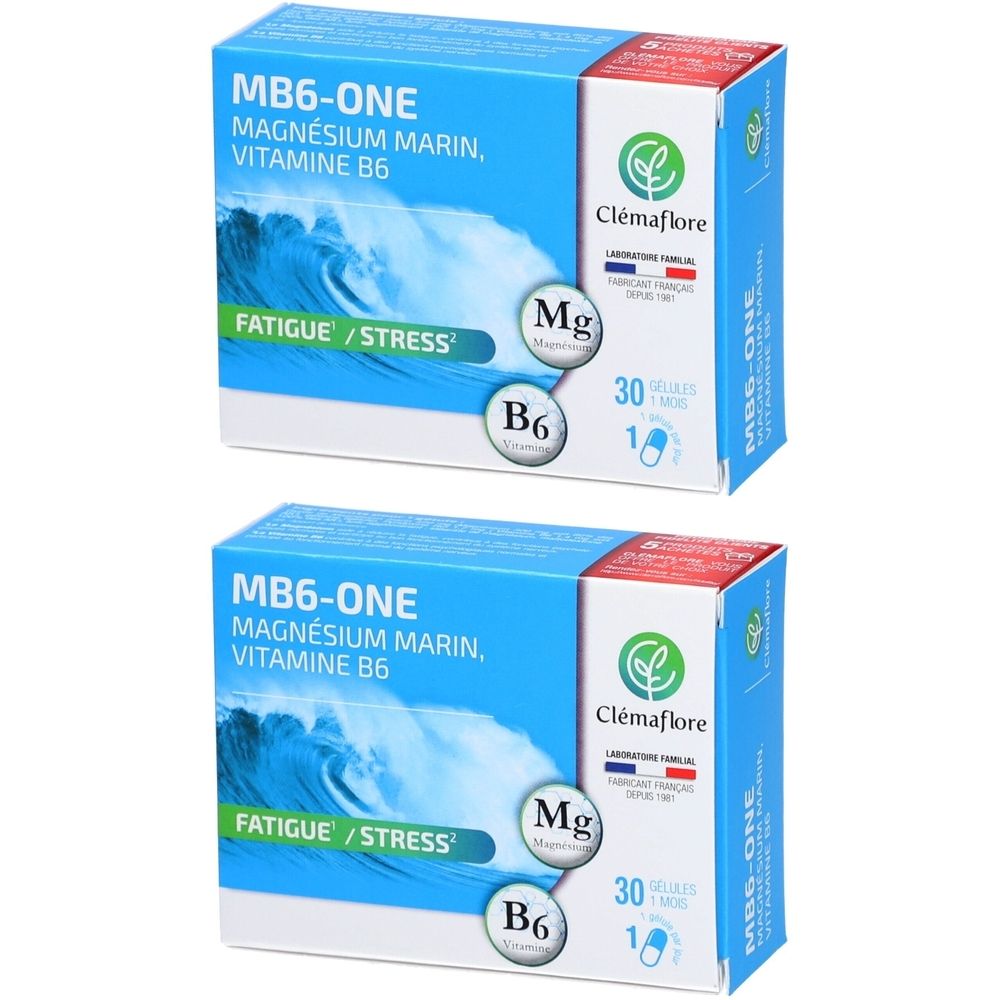 Deux boîtes MB6-ONE, Magnésium Marin, Vitamine B6. Marque Clémaflore. Contient 30 gélules. Inscription : Fatigue/Stress.