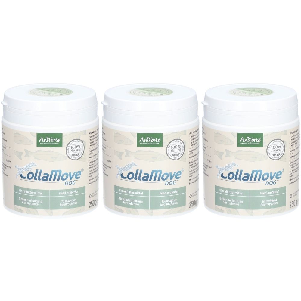 Trois boîtes blanches ANIFORTE Collamove DOG. Inscription Collamove DOG, 100% naturel, 250g. Étiquettes vertes et blanches.