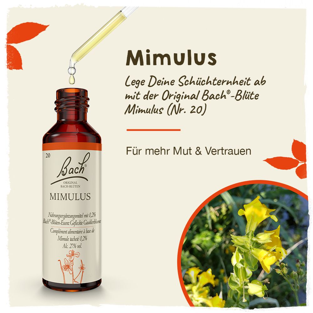 BACH®-BLÜTE MIMULUS