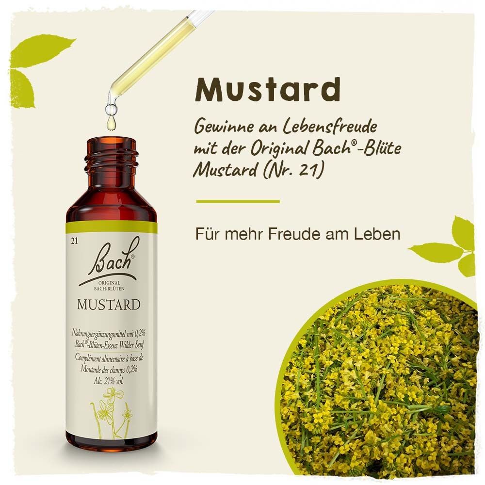 BACH®-BLÜTE MUSTARD (Moutarde sauvage)