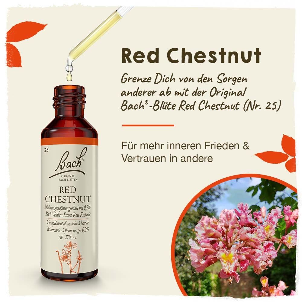 BACH®-BLÜTE RED CHESTNUT (Marron rouge)