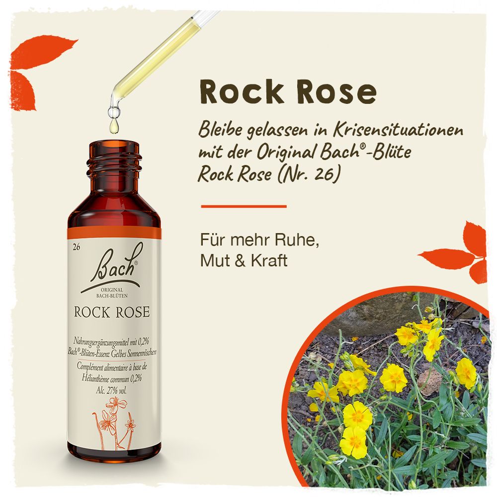 BACH®-BLÜTE ROCK ROSE (Gelbes Sonnenröschen)