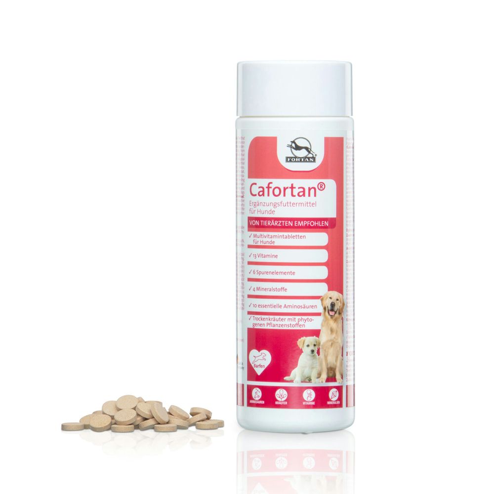 Flacon blanc avec étiquette rouge. Comprimés à côté. Inscription Cafortan® pour chiens. Chien et chiot.