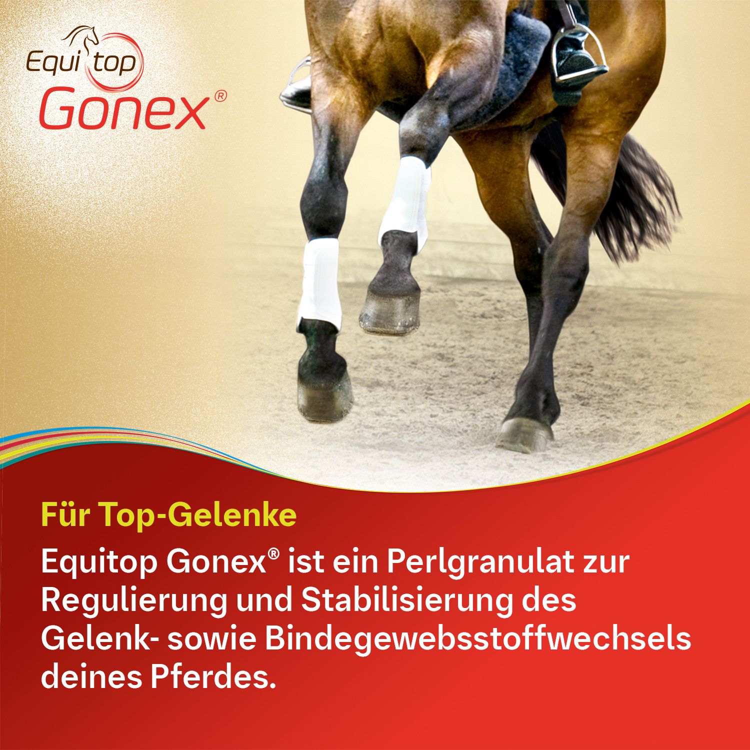 Equitop Gonex®