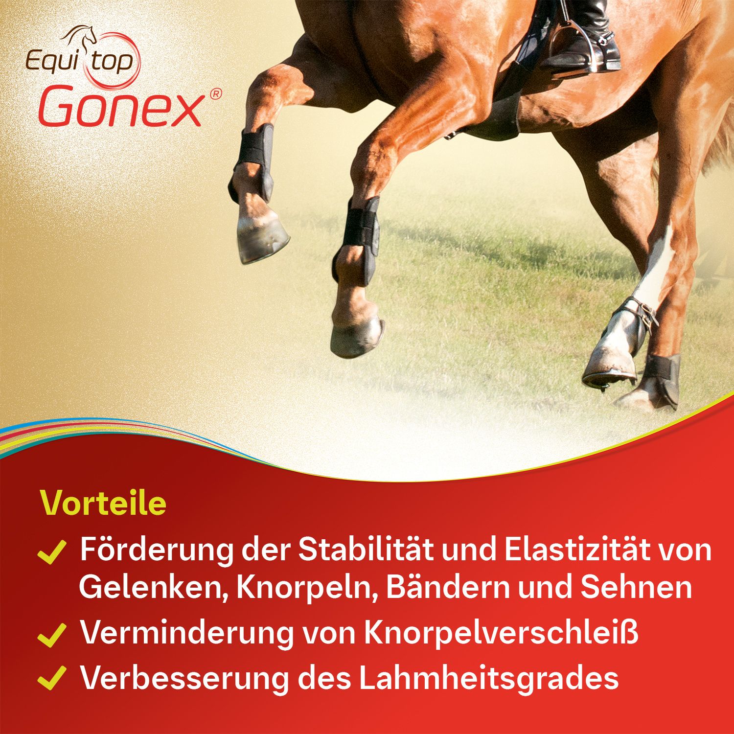 Equitop Gonex®