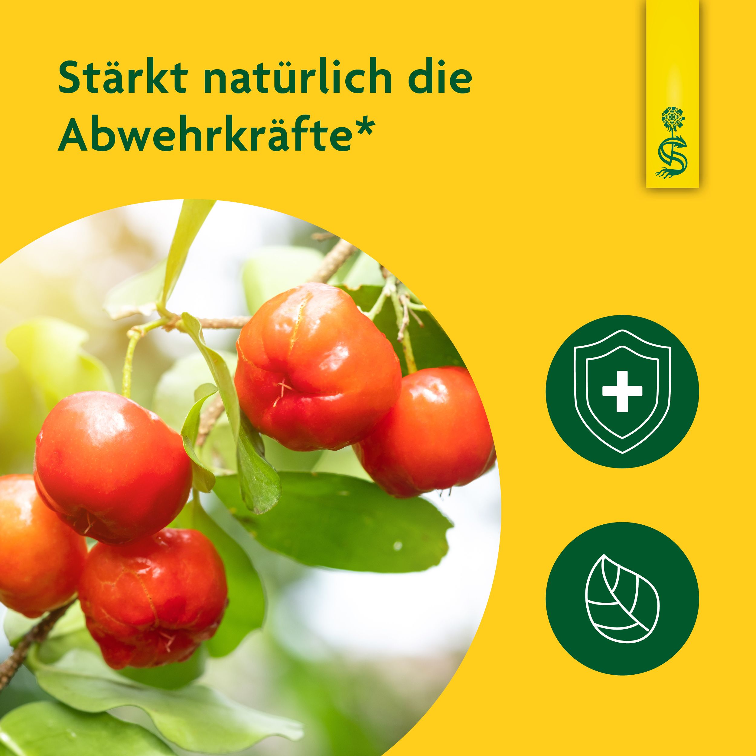 Schoenenberger® Acerola naturtrüber Fruchtsaft