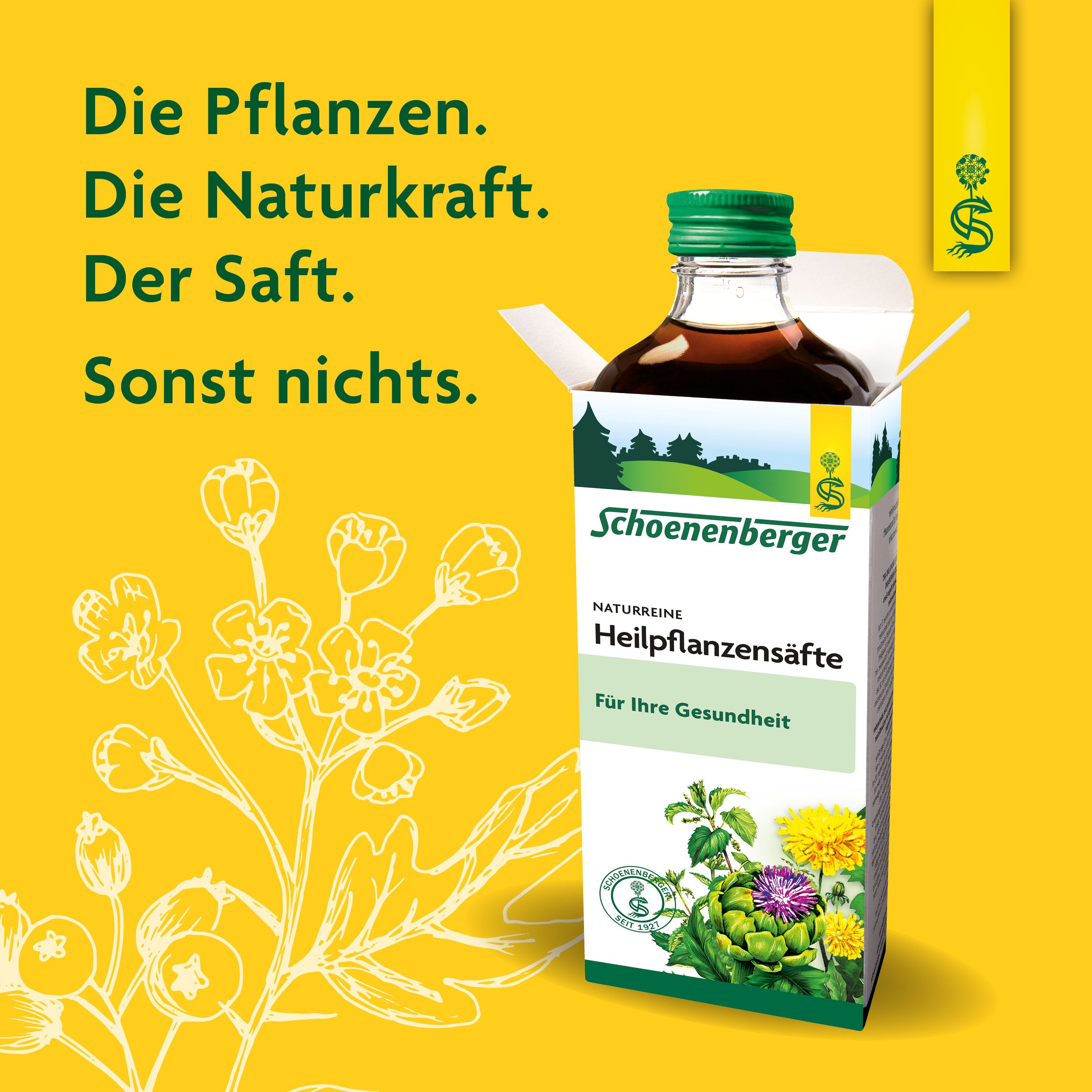 Schoenenberger® naturreiner Gemüsesaft Sellerie