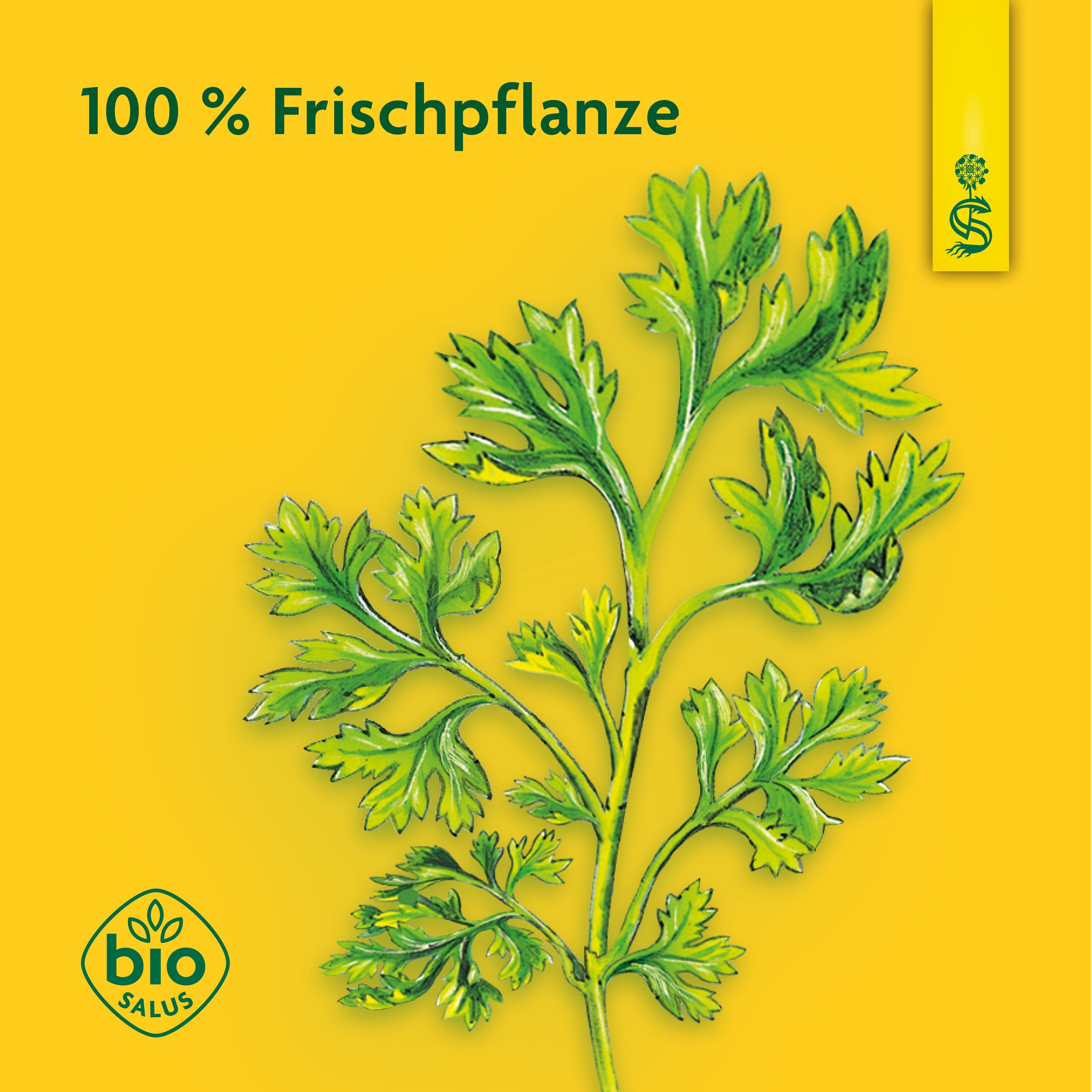 Schoenenberger® Persil, jus naturel de plante