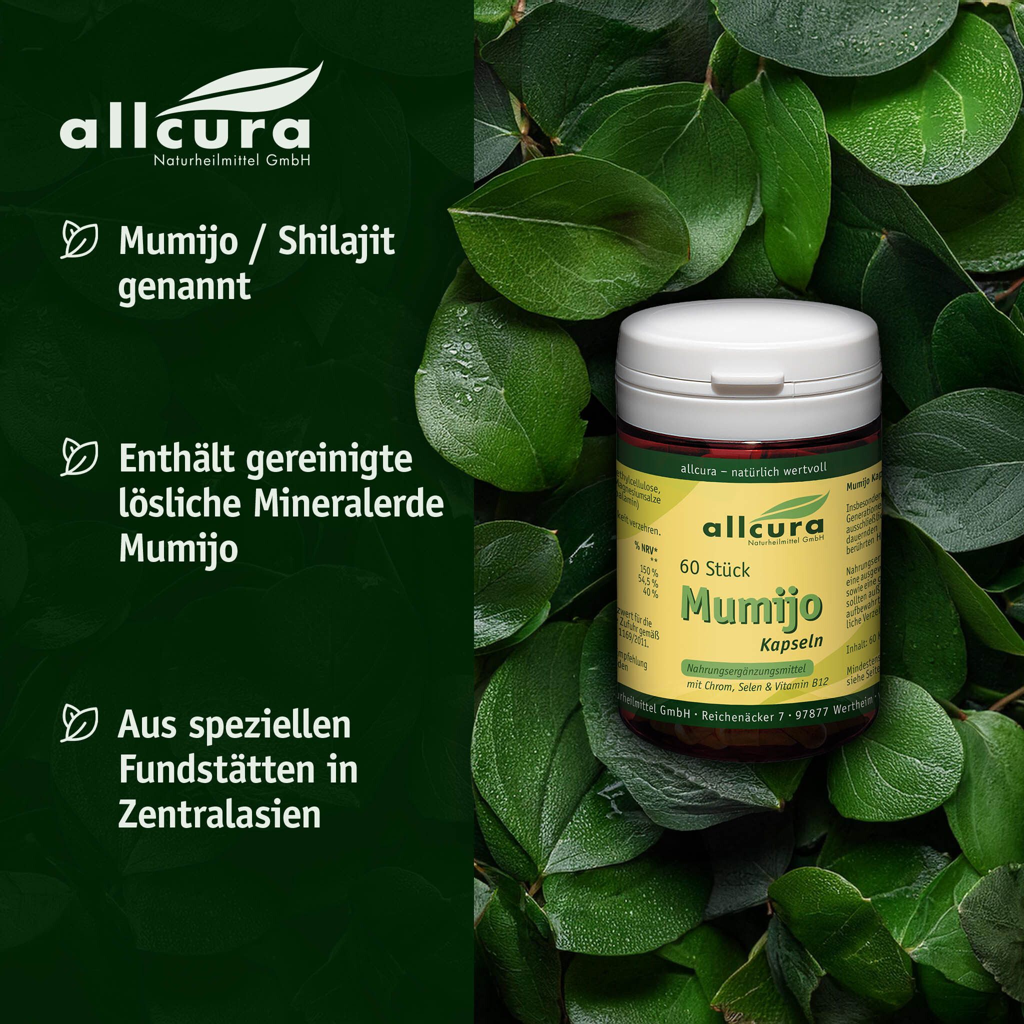 Fond vert avec feuilles. Pilulier avec étiquette jaune. Inscription : allcura Mumijo Kapseln, 60 pièces.