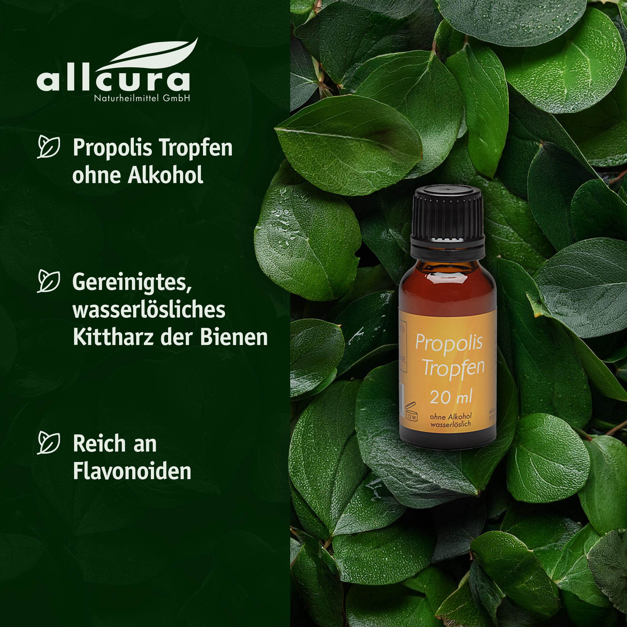 Produktflasche vor grünem Hintergrund. Text: Propolis Tropfen ohne Alkohol, gereinigtes Kitharz, reich an Flavonoiden.