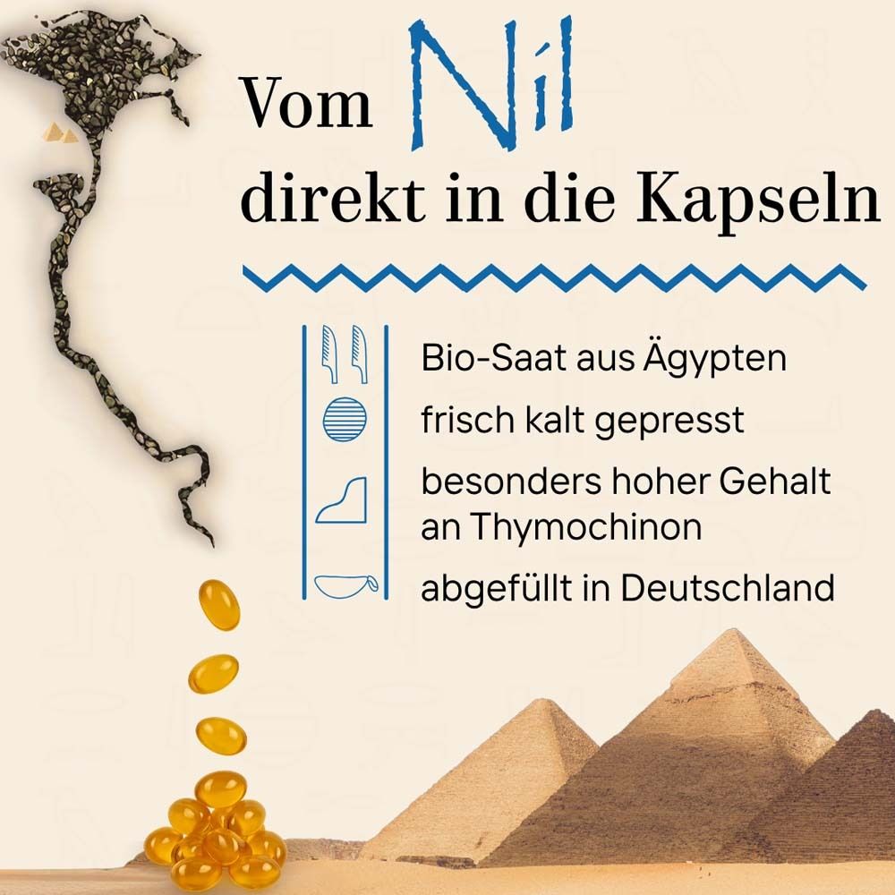 Graphique avec gélules jaunes, pyramides et texte. Texte : Du Nil directement dans les gélules. Graines bio d'Égypte, pressées à froid.