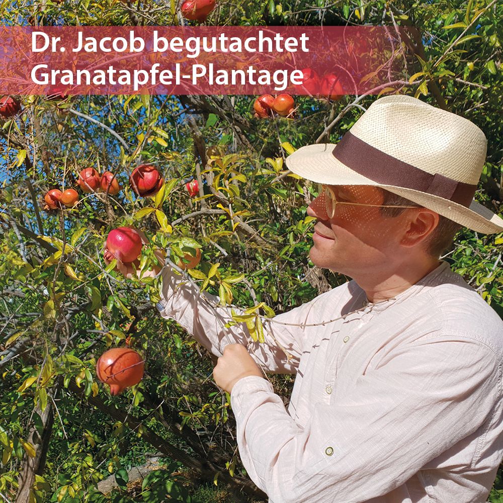 Dr. Jacob's Granatapfel-Elixier Original Granatapfelsaft-Konzentrat fermentiert