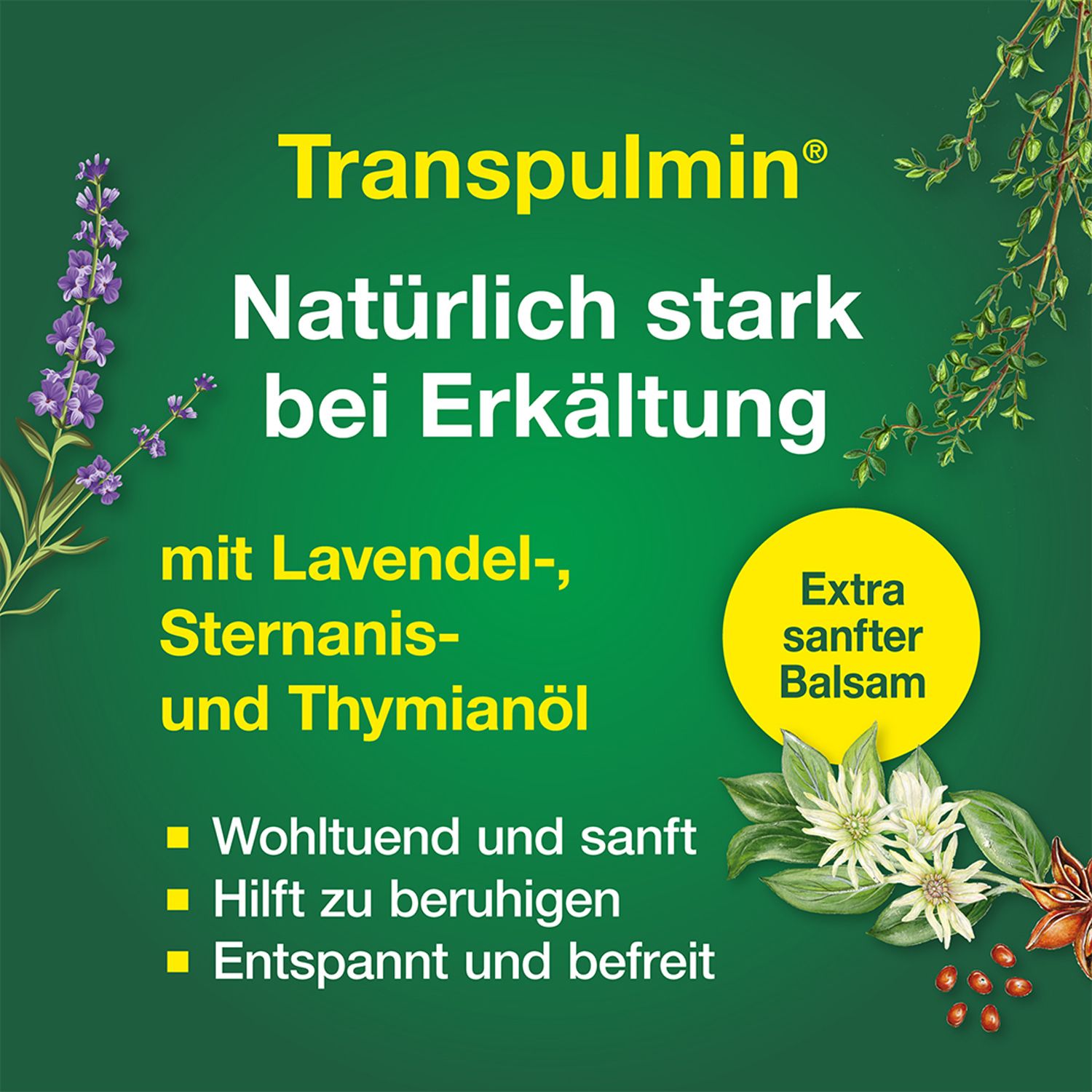 Transpulmin Baby Balsam mild: Wohltuender Erkältungsbalsam für Kinder ab 3 Monaten,