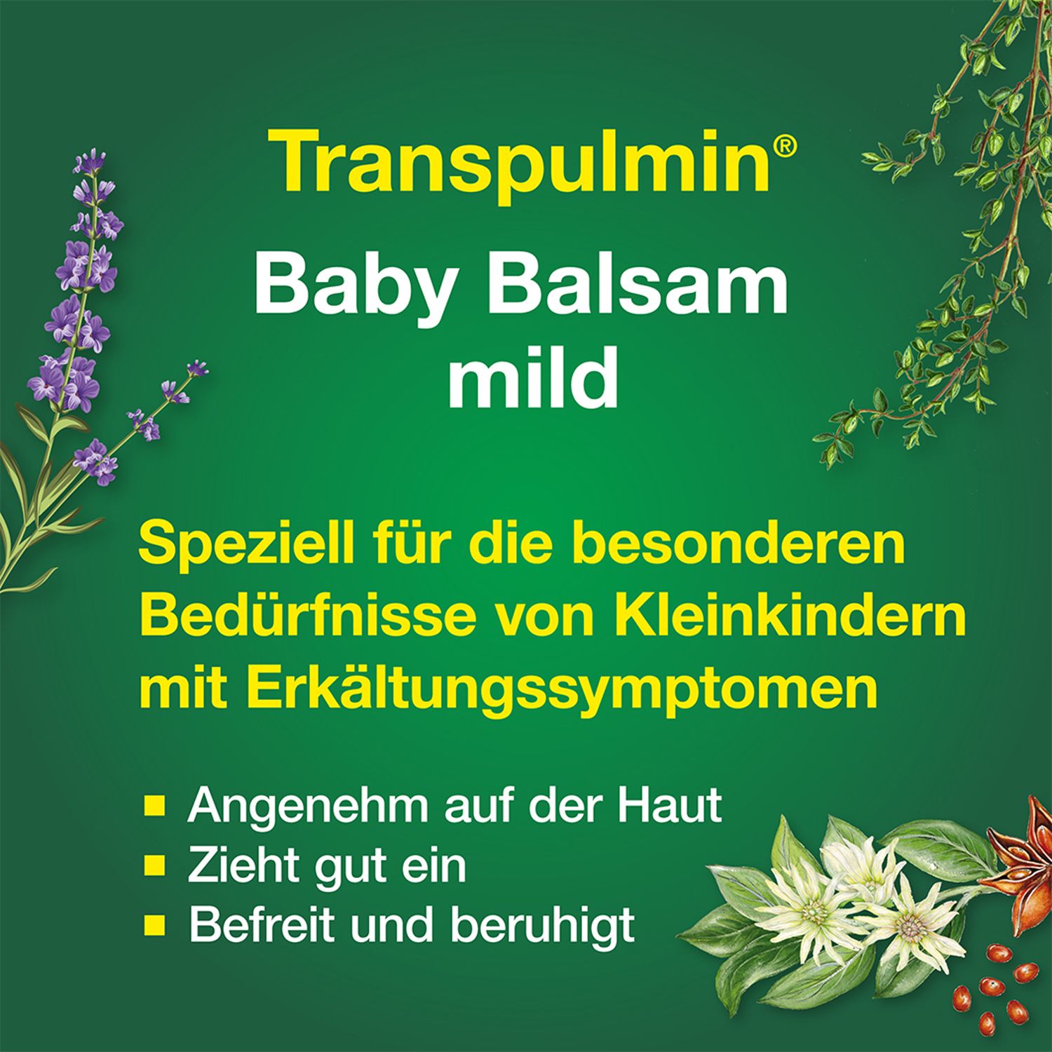 Transpulmin Baby Balsam mild: Wohltuender Erkältungsbalsam für Kinder ab 3 Monaten,