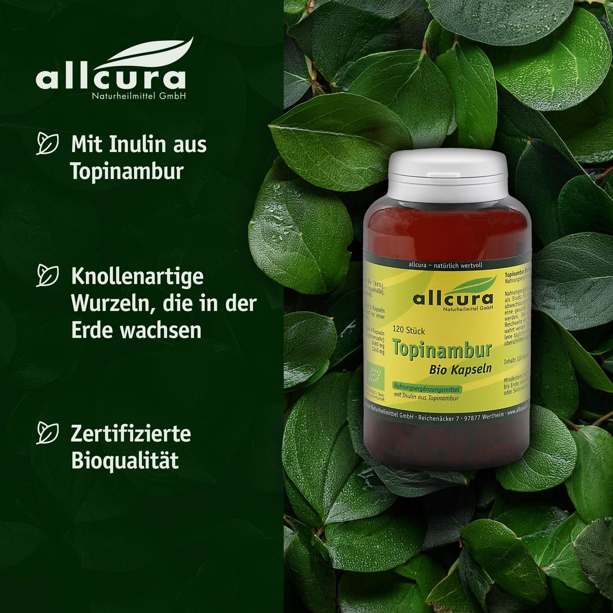Flacon marron avec couvercle blanc, entouré de feuilles vertes. Inscription : Topinambur Kapseln, 120 St. allcura.