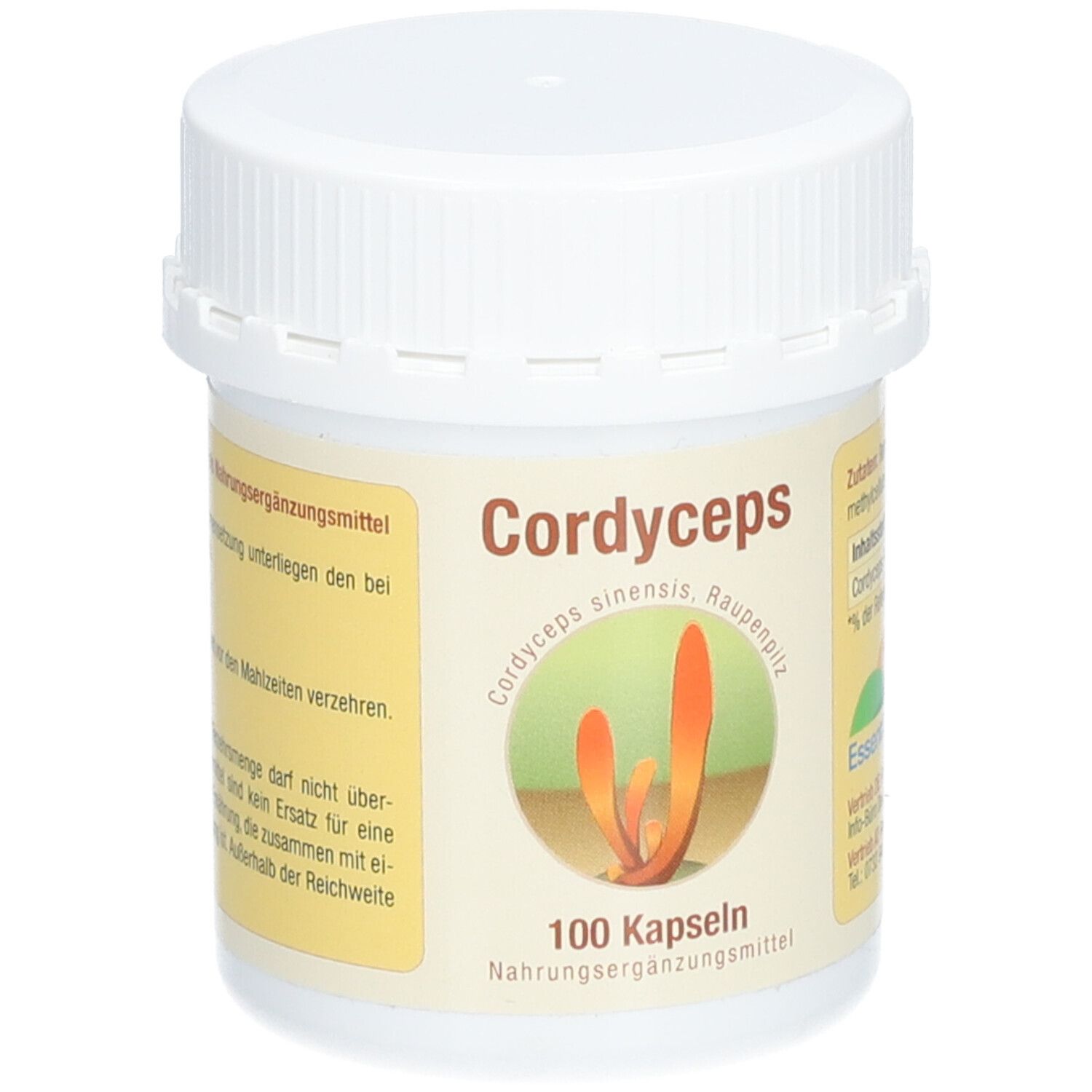 Cordyceps sinensis