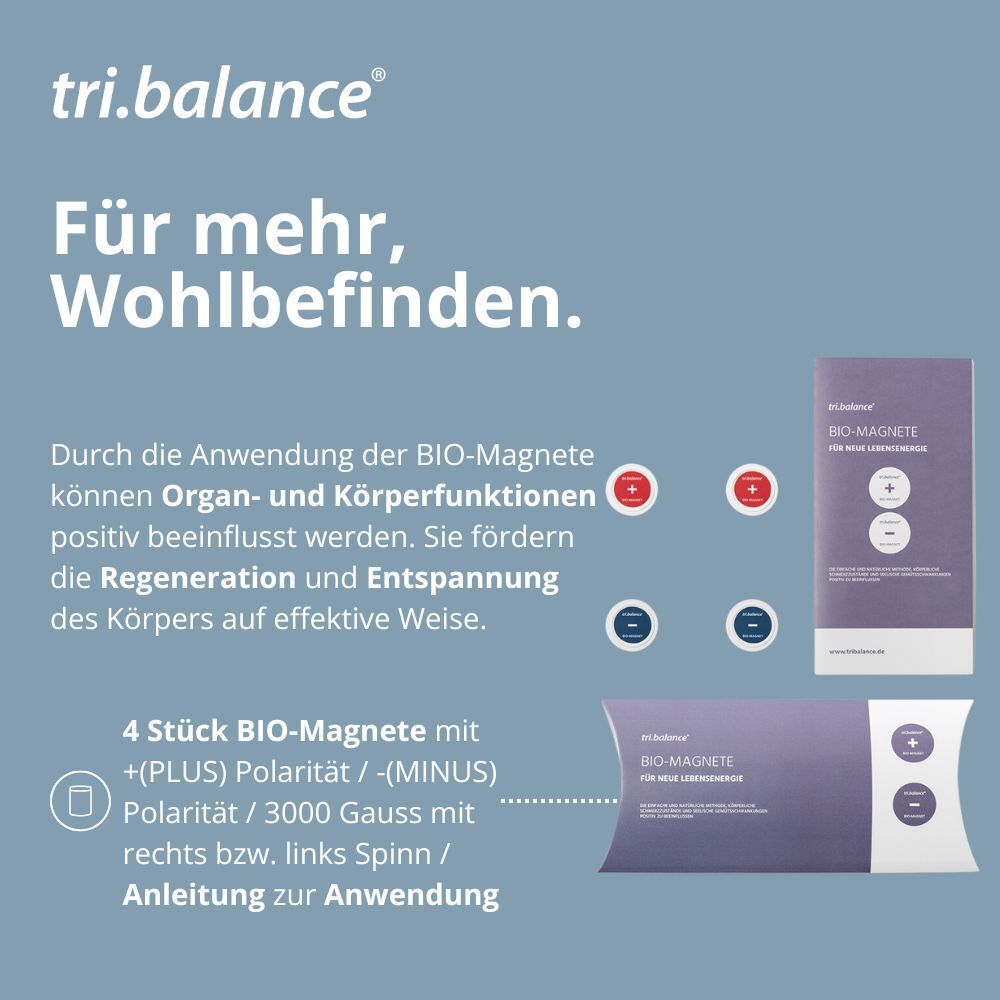 4 BIO-Magnete mit +/- Polarität, 3000 Gauss, rechts/links Spinn, Anleitung. Verpackung und Einzelmagnete.