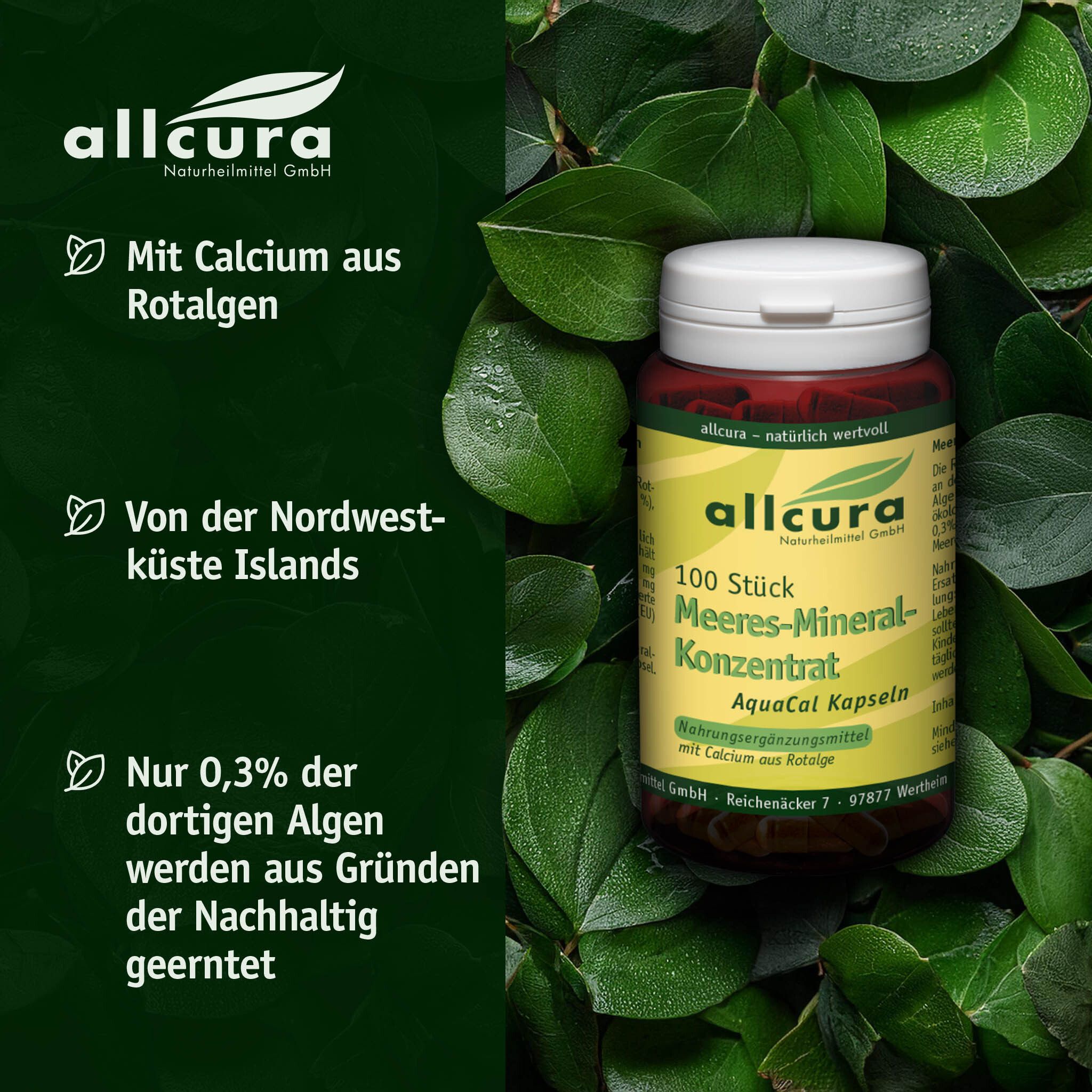 Boîte de gélules marron avec couvercle blanc, entourée de feuilles. Inscription: allcura, 100 pièces, AquaCal Capsules.