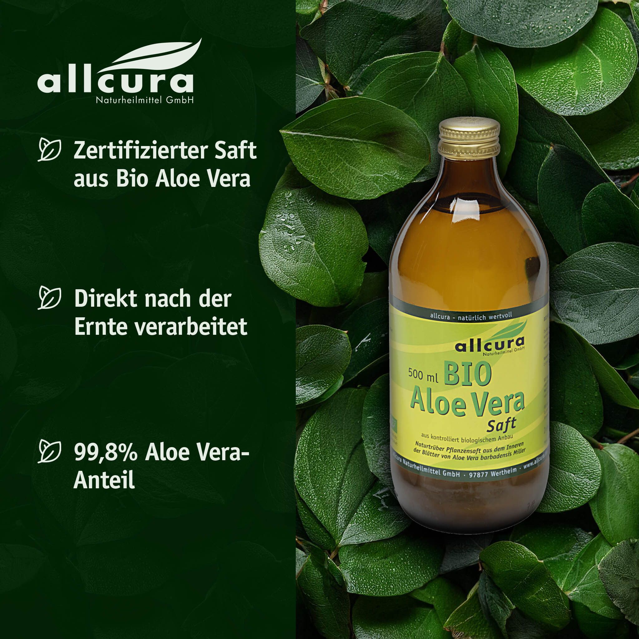 Braune Glasflasche mit goldfarbenem Deckel, umgeben von grünen Blättern. Etikett "allcura BIO Aloe Vera Saft".