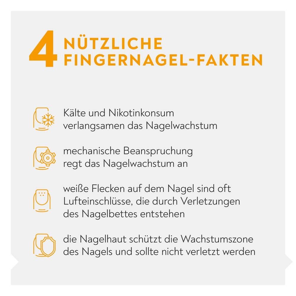 4 nützliche Fingernagel-Fakten. Kälte und Nikotinkonsum verlangsamen das Nagelwachstum. Mechanische Beanspruchung regt an.
