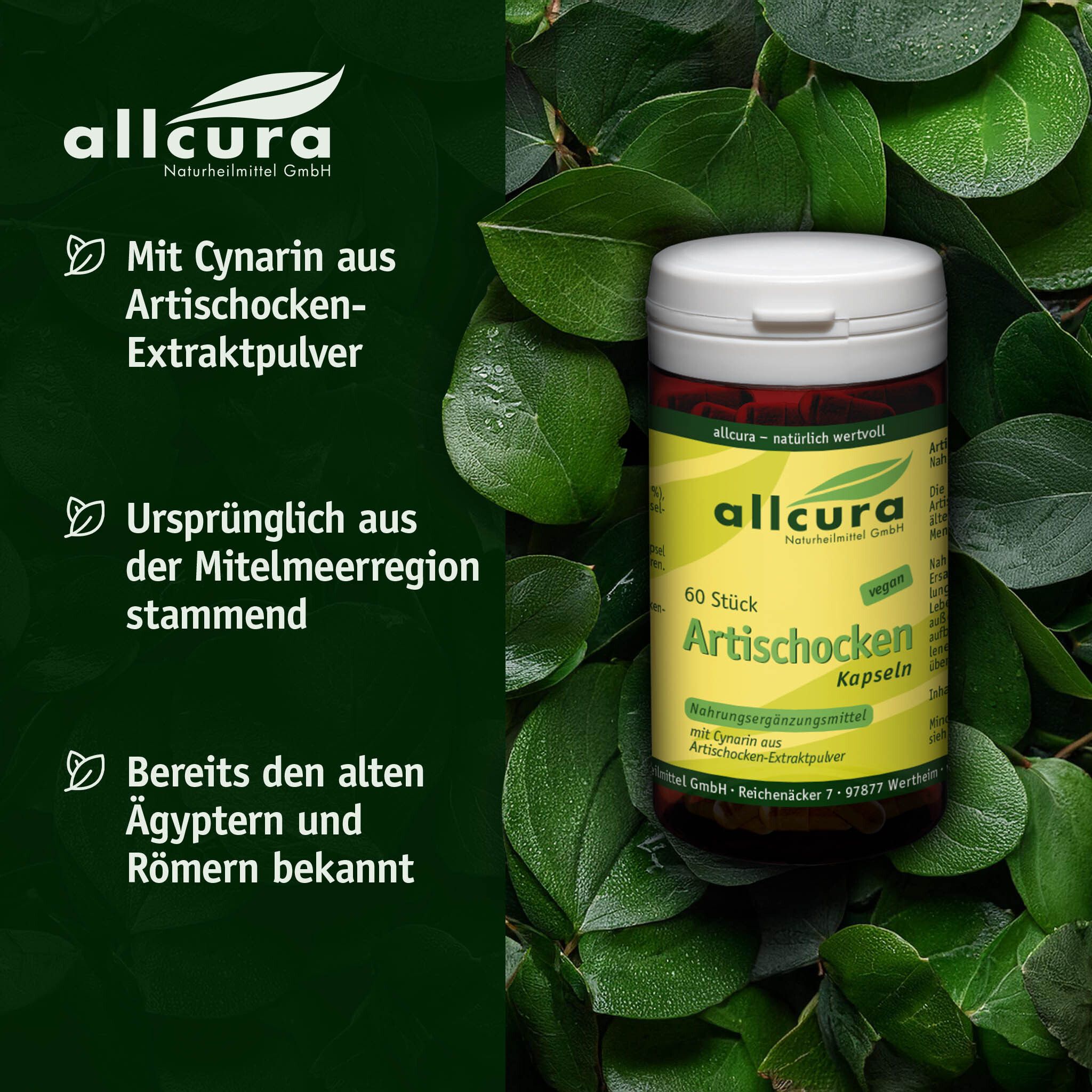 Boîte de 60 gélules d'artichaut, entourée de feuilles. Texte : allcura, Artichaut, Complément alimentaire.