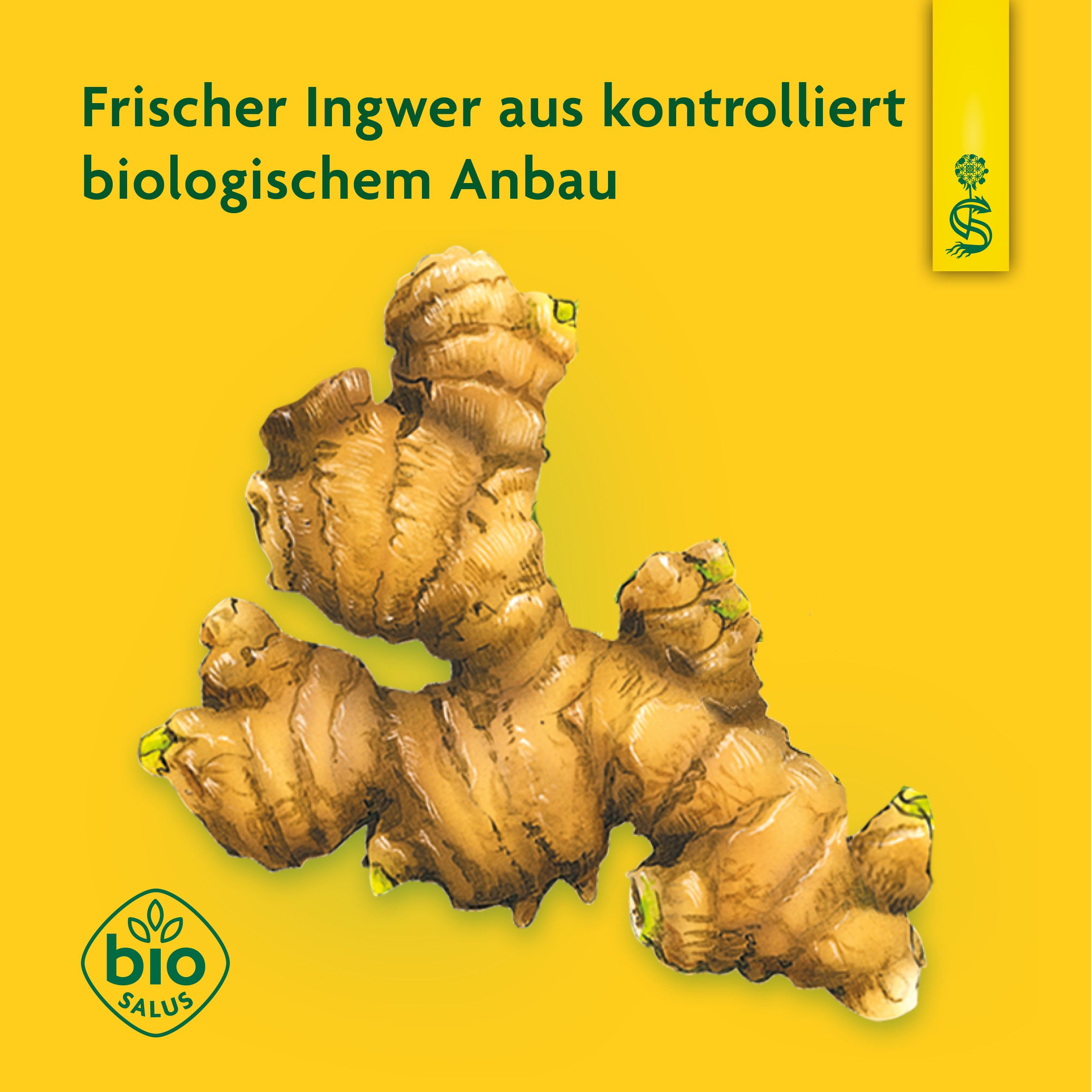 Schoenenberger® naturreiner Pflanzentrunk Ingwer