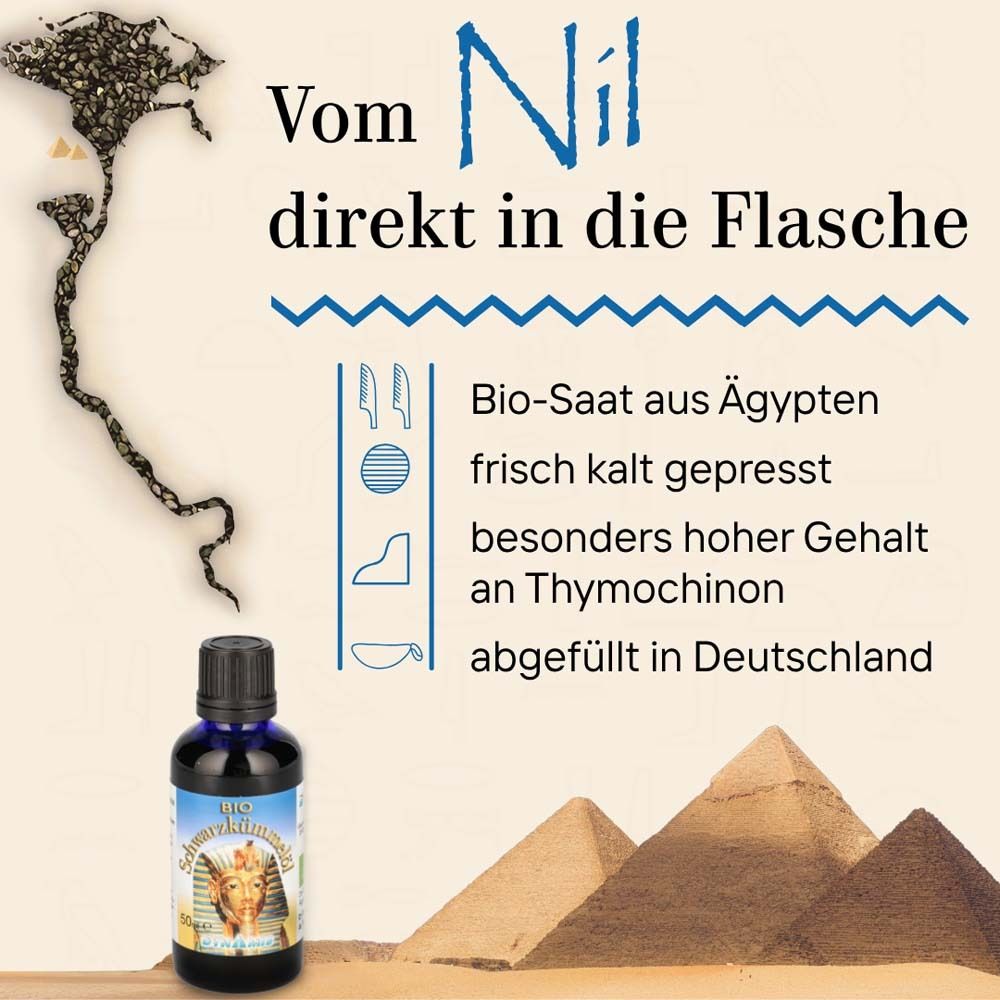 Image publicitaire avec flacon BIO-Schwarzkümmelöl, pyramides et texte : Du Nil directement dans la bouteille. Graines bio d'Égypte.