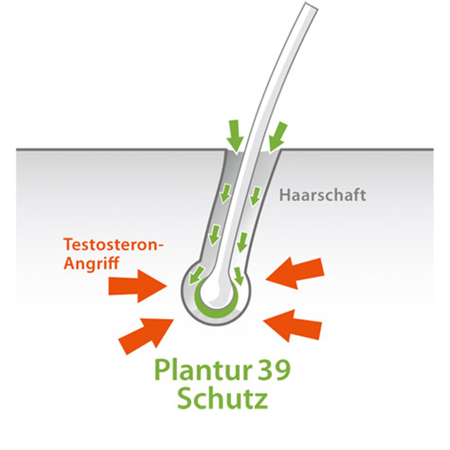 Plantur 39 Phyto-Coffein-Tonikum