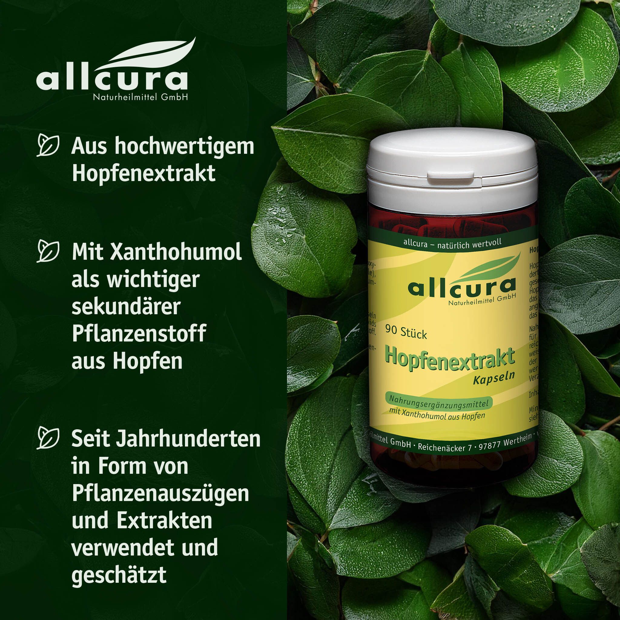 Boîte de gélules d'extrait de houblon entourée de feuilles vertes. Texte : Extrait de houblon de haute qualité.