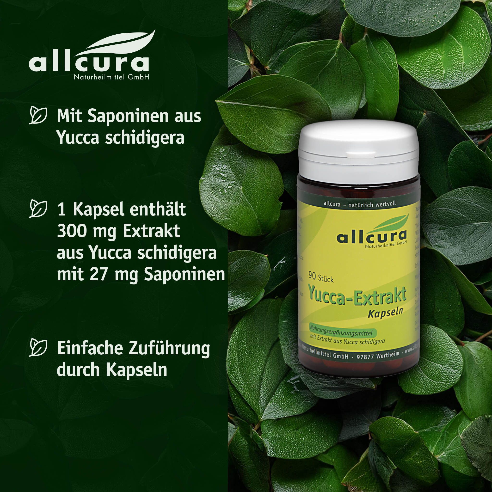 Kapsel-Dose vor grünem Hintergrund. Text: allcura, Yucca-Extrakt Kapseln. Details zu Inhaltsstoffen.