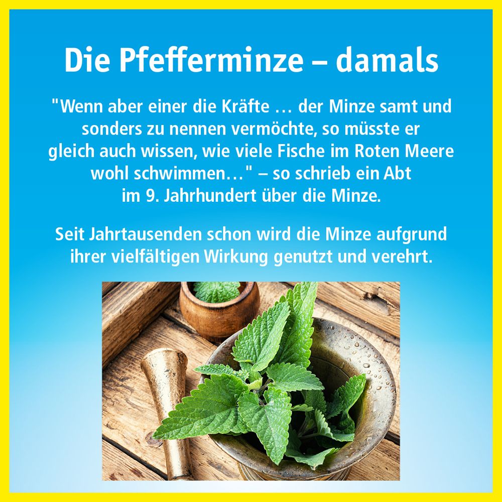 Image textuelle sur la menthe poivrée. Citation sur la menthe du 9ème siècle. Image de menthe dans un bol.