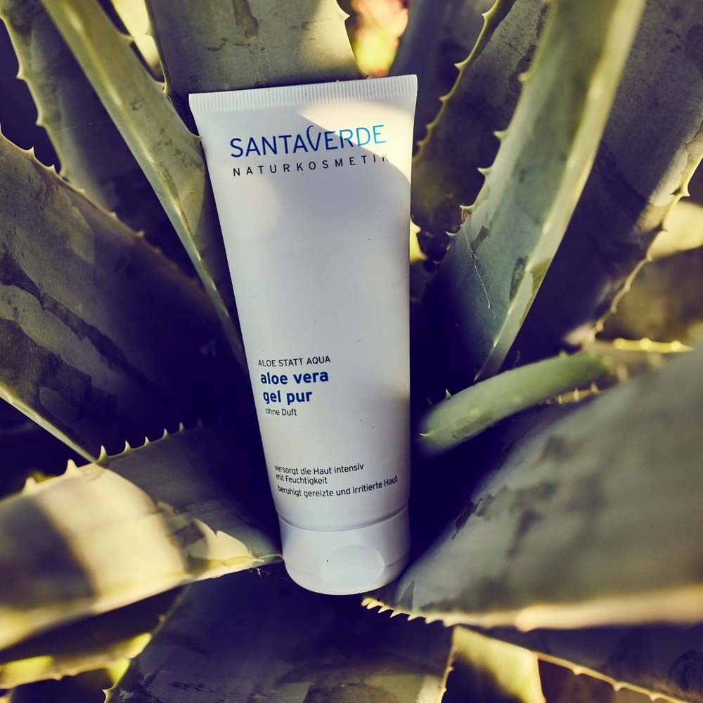 Tube blanc avec logo SANTAVERDE et inscription Aloe vera gel pur sans parfum, posé sur plante d'aloe.