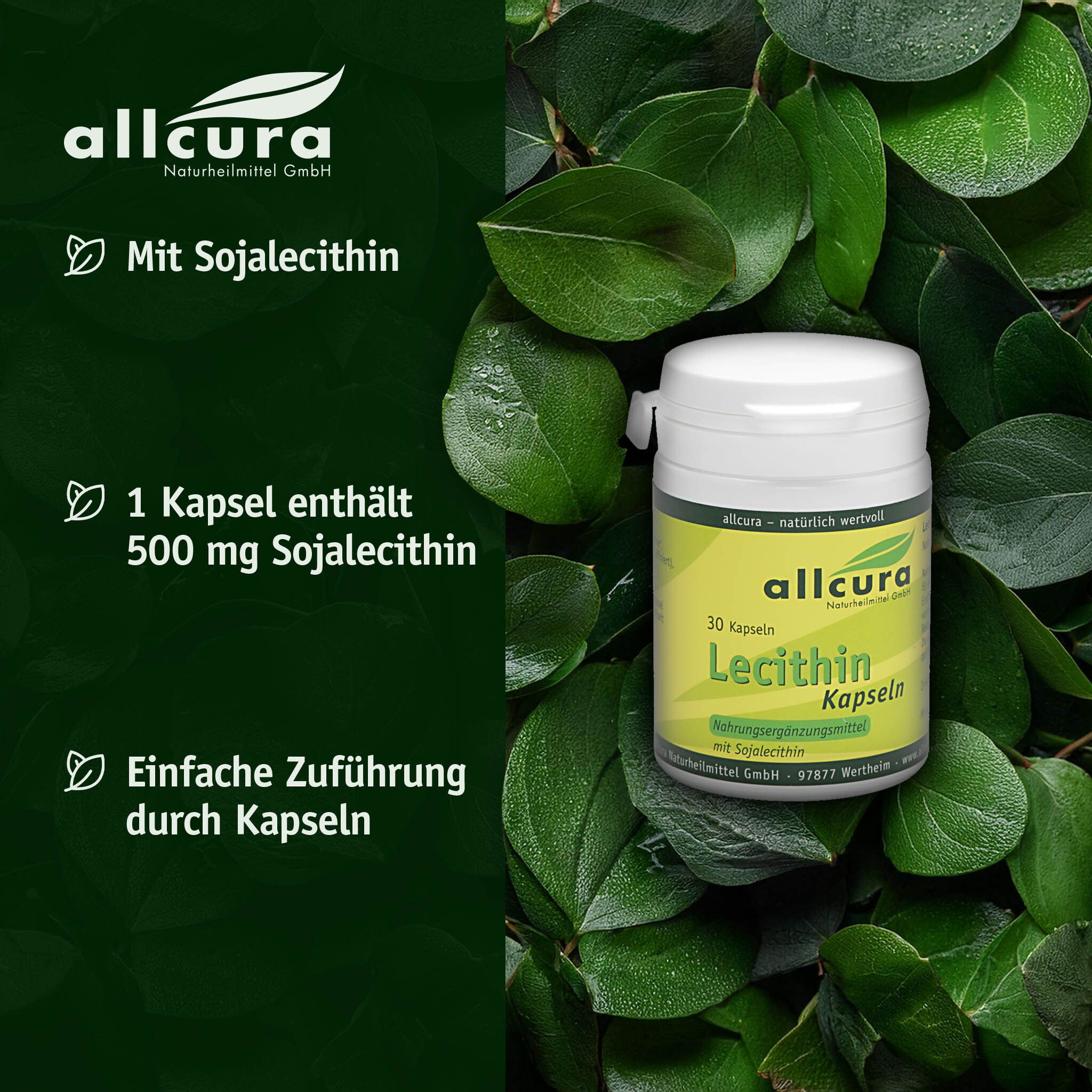 Dose mit 30 Lecithin Kapseln, umgeben von Blättern. Text: Mit Sojalecithin, 1 Kapsel enthält 500 mg Sojalecithin.