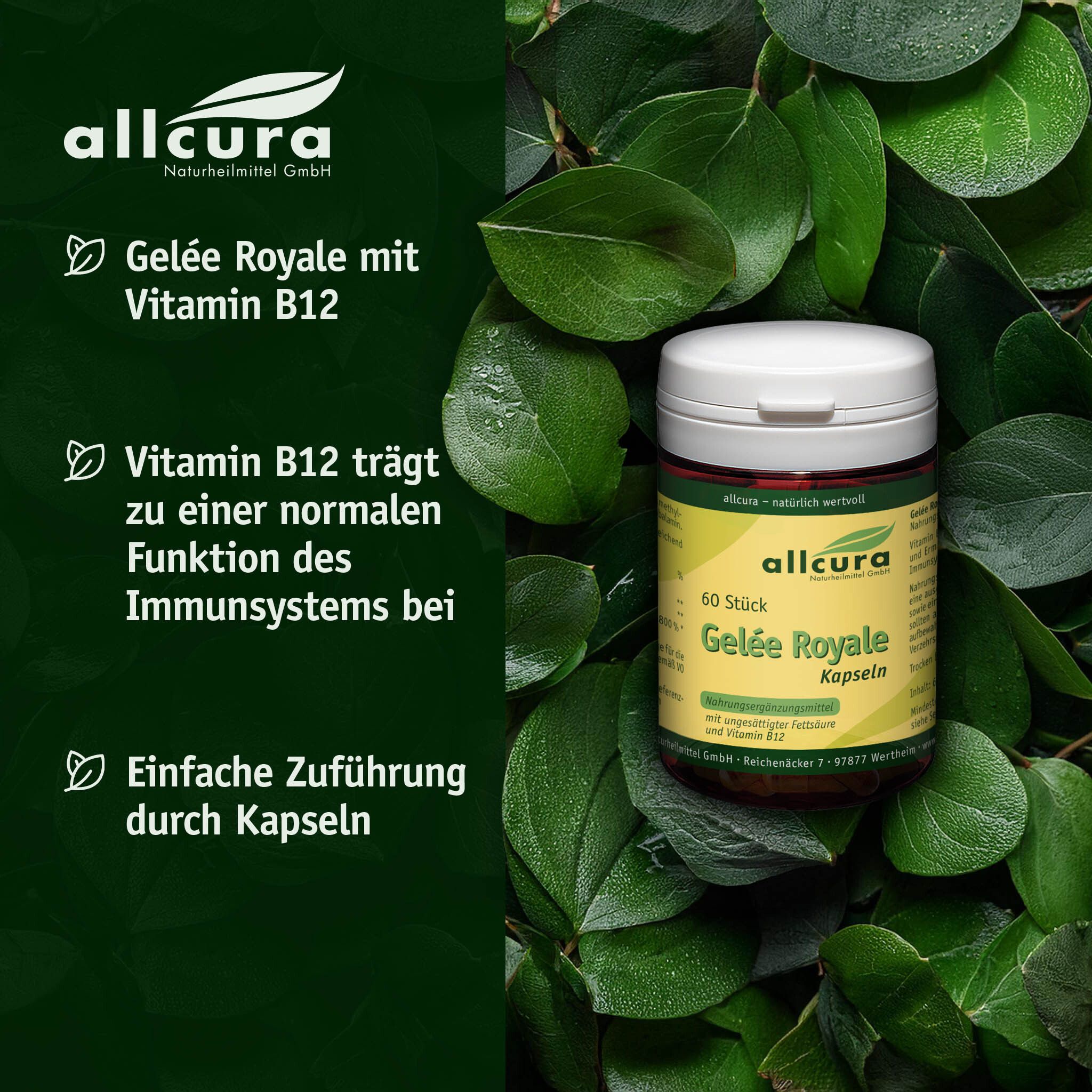 Boîte allcura Gelée Royale Kapseln dans les feuilles. Texte : Gelée Royale avec vitamine B12. Facile à administrer.