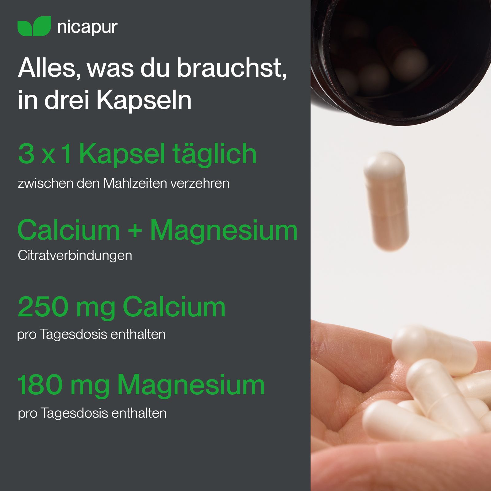 Nicapur Calcium Magnésium Citrate : 3x1 gélule par jour, 250 mg de calcium, 180 mg de magnésium.