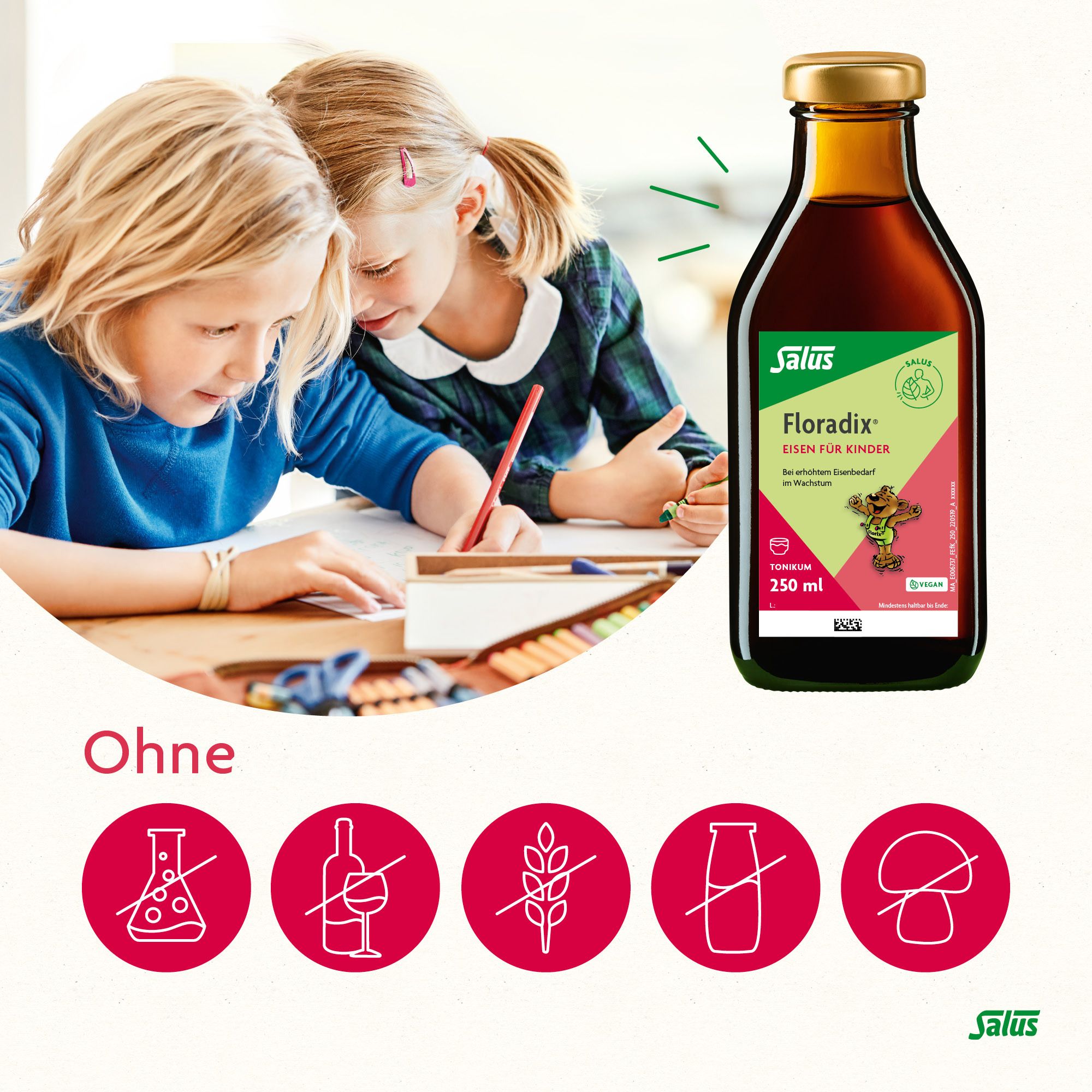 Salus® Floradix® Eisen für Kinder