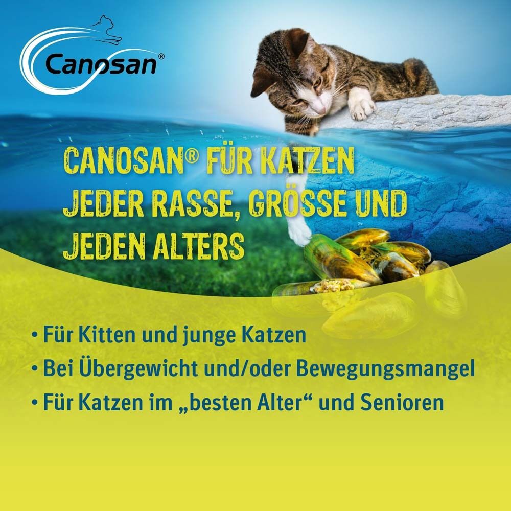 Canosan® Complément alimentaire pour chats